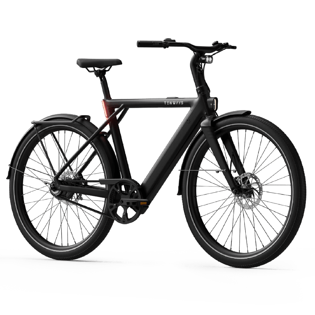 Electric bicycle TENWAYS CGO009, Midnight Black product image