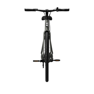 Electric bicycle TENWAYS CGO600 Pro, Willow Mist (L) product image