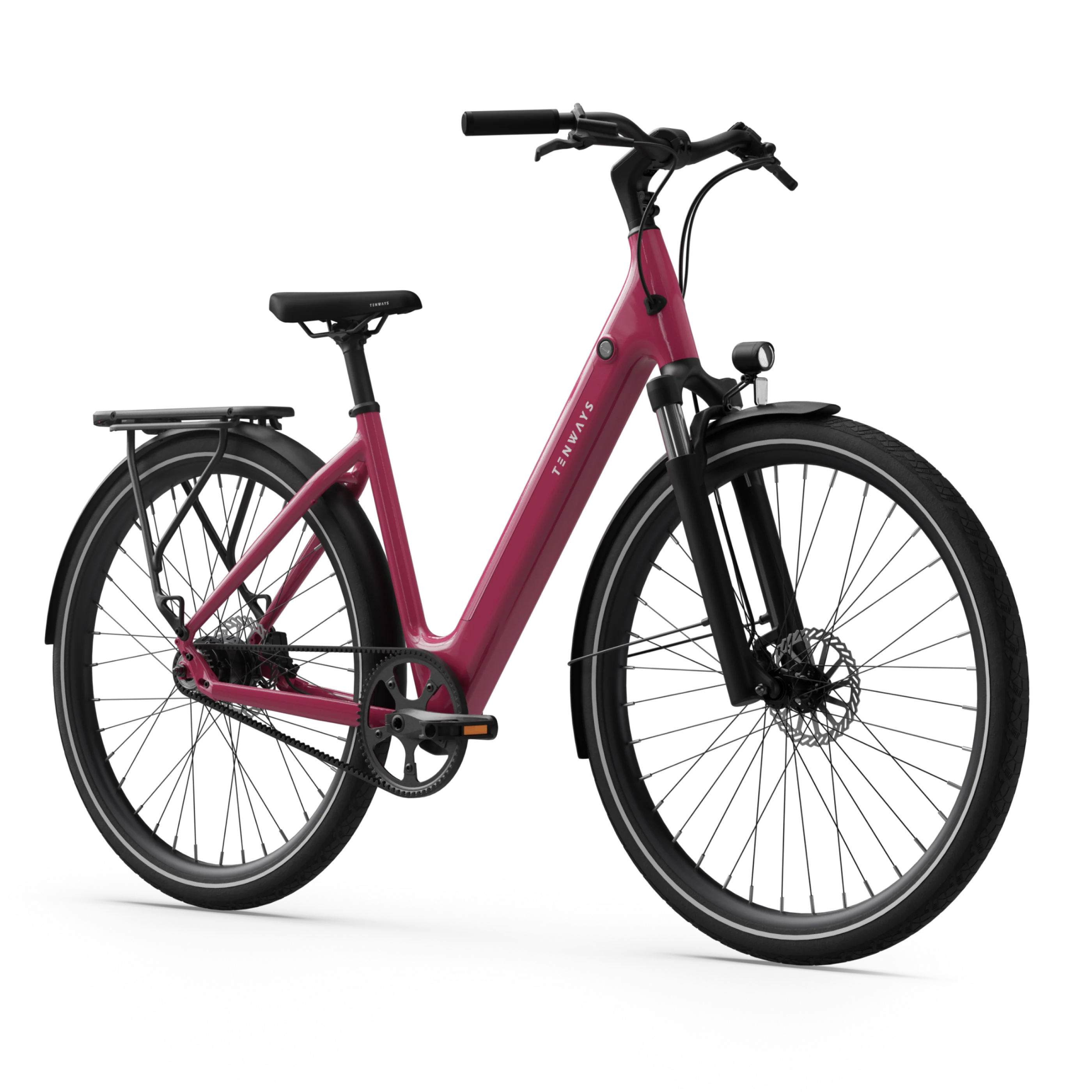 Electric bicycle TENWAYS CGO800S, Wild Berry product image