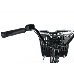 LEADER FOX Bormio electric tricycle, Black product image