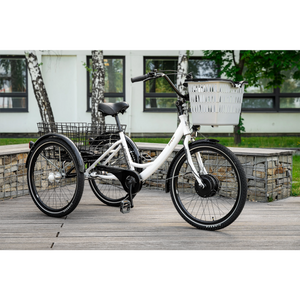 LEADER FOX Bormio electric tricycle, Black product image