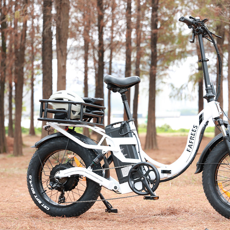 Задняя корзина Fafrees