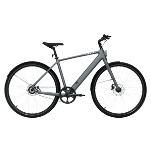 Electric bicycle TENWAYS CGO600 Pro, Pebble Grey (M) product image