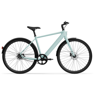 Electric bicycle TENWAYS CGO600 Pro, Mint Green (L) product image