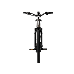 Electric bicycle TENWAYS Ago Performance, 29" Walnut Brown product image
