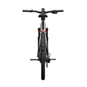 Electric bicycle TENWAYS AGO X Special Edition, 29" Silver product image