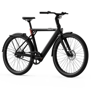 Electric bicycle TENWAYS CGO009, Midnight Black product image