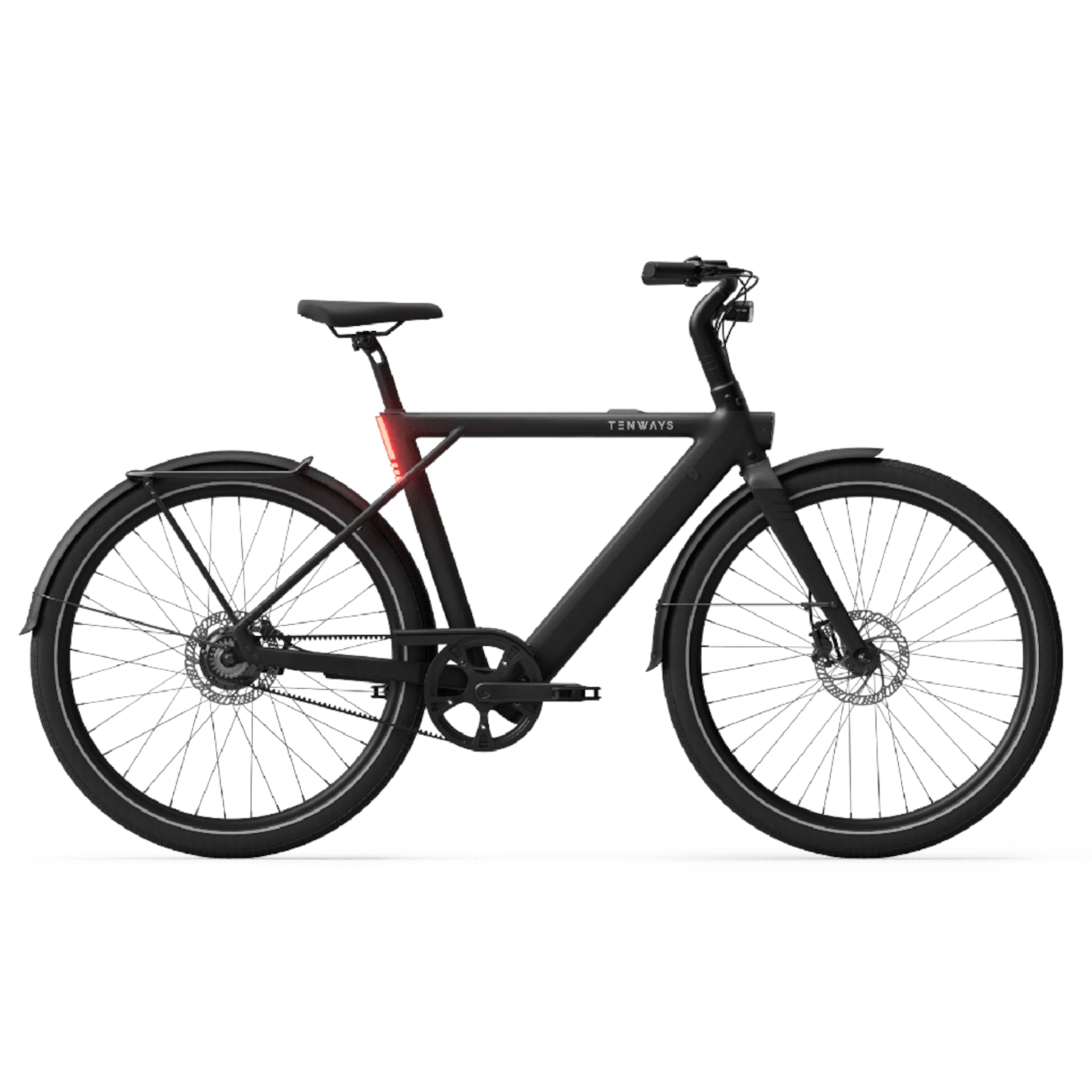 Electric bicycle TENWAYS CGO009, Midnight Black product image