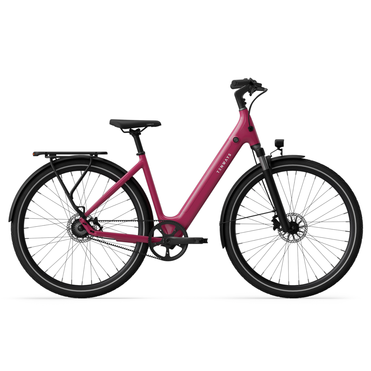 Electric bicycle TENWAYS CGO800S, Wild Berry product image