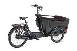 Electric bike BATAVUS Fier 3 product image
